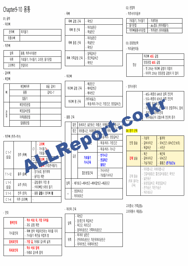 뉴만(해부학,운동학) 정리본(카셉시험) (7 페이지)
